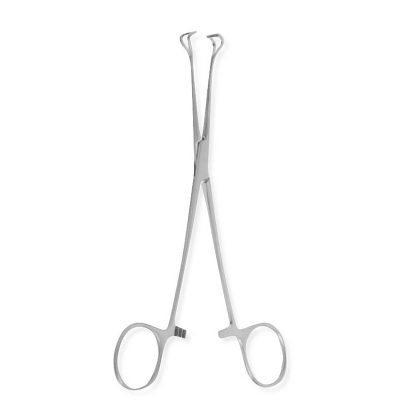 PETIT BABCOCK TISSUE FORCEPS